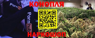 амф Гай