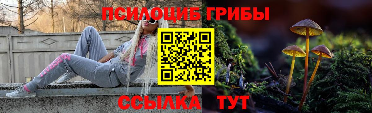 Псилоцибиновые грибы Magic Shrooms Нерюнгри