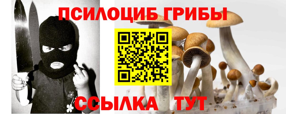 даркнет сайт  Псилоцибиновые грибы прущие грибы  Вход с VPN  Нерюнгри 